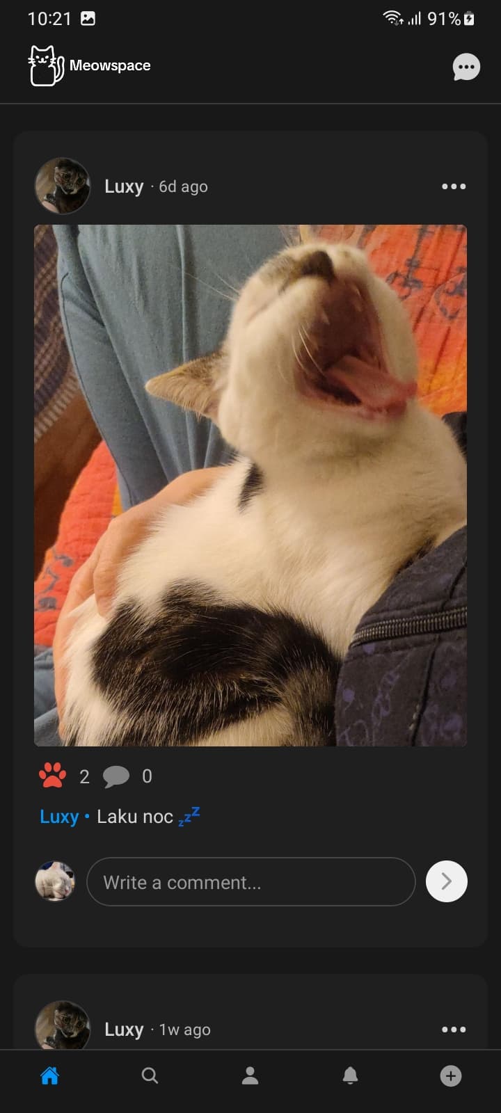 Screenshot of Meowspace